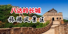 免费看日骚逼中国北京-八达岭长城旅游风景区